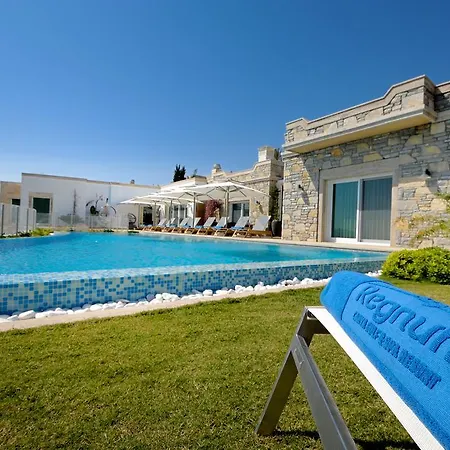 بوتيك وفيلات ريجنام إسكانا فندق 3*